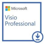 MS VISIO PROFESSIONAL 2021 TUR-ENG ESD LISANS (D87-07606)